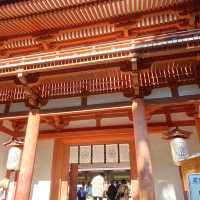奈良°ㅣ原始森林中的千年神社ㅣ被鹿包圍的春日大社