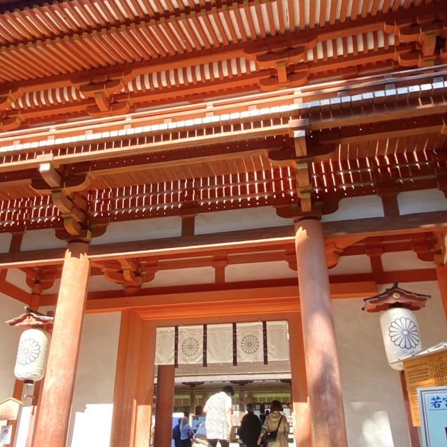 奈良°ㅣ原始森林中的千年神社ㅣ被鹿包圍的春日大社