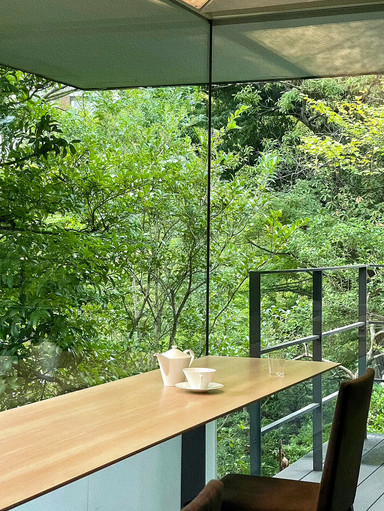 Nezu Museum: A quiet corner of Tokyo that combines art and nature