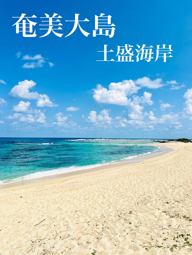 【奄美大島】土盛海岸