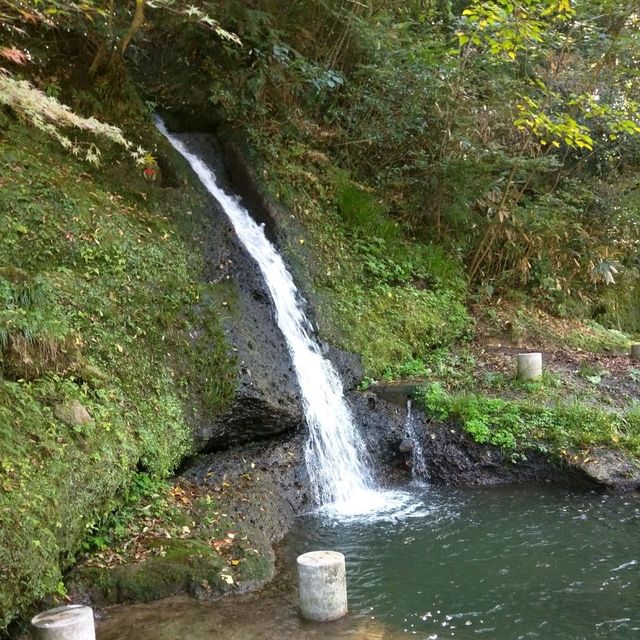 【石川】加賀の自然美を満喫する「こおろぎ橋」