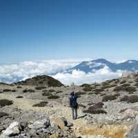 Friend of Mount Arjuno