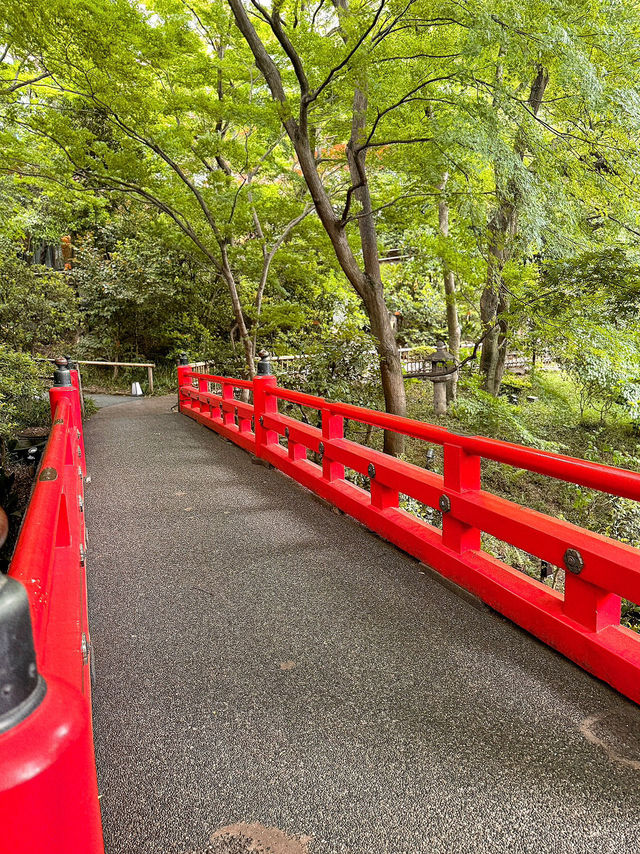 東京世外桃源—椿山莊飯店庭園漫遊指南🍃🌸