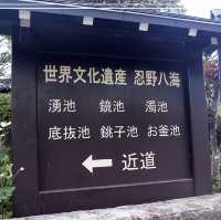 東京旅遊之～忍野八海