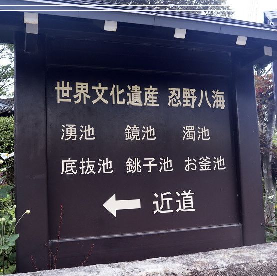 東京旅遊之～忍野八海
