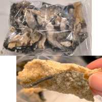 潮龍園簡直係我葵芳食堂