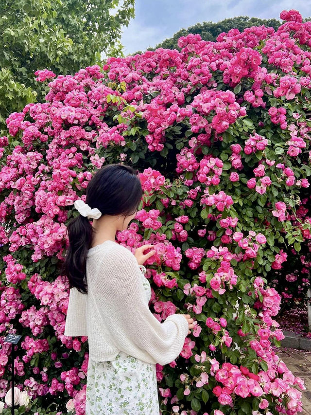 환상의 나라 장미사냥 데이트💖
