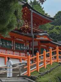 【奈良の世界遺産】春日大社⛩️