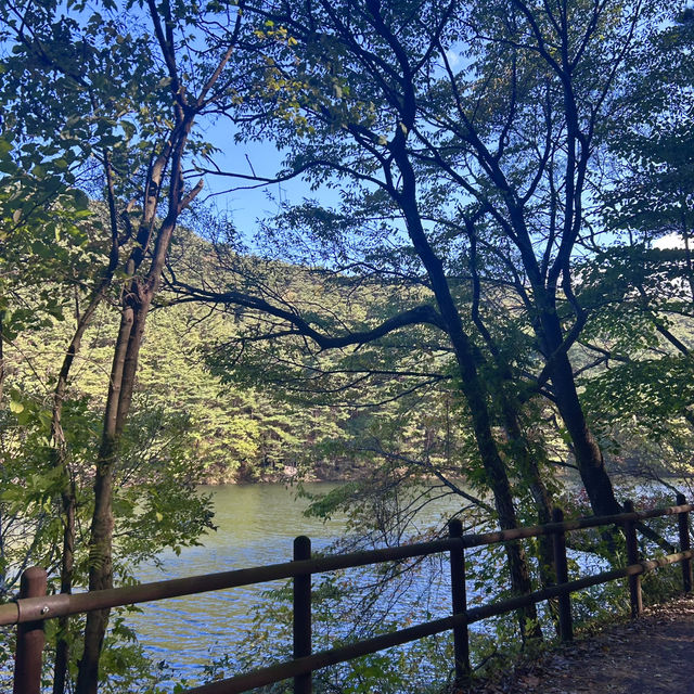 가을 단풍 절정인 속리산 문장대 🍁