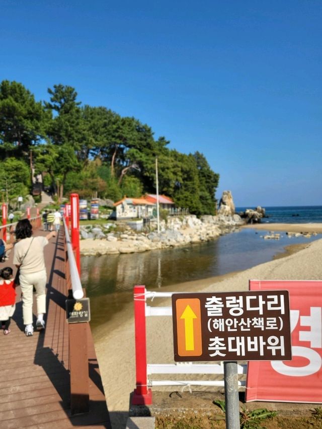 동해여행 필수코스 추암촛대바위