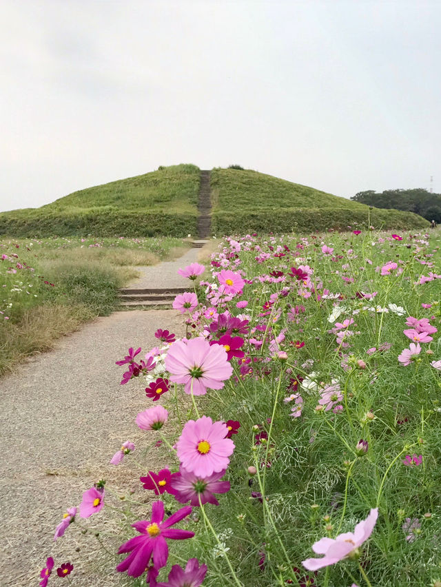 【群馬おすすめ観光スポット】