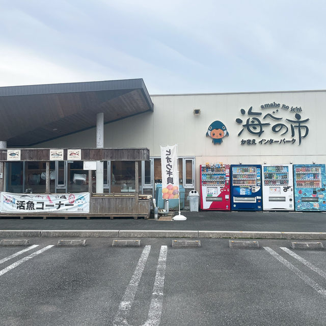【佐伯】貝類、お刺身🐟が安い！新鮮！✨
