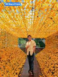 Flora Park, Cameron Highlands is Perfect for Breathtaking Views and Fresh Air