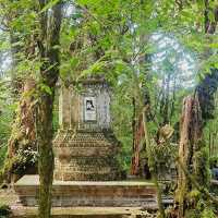 Day trip to the enchanted forest at Doi Inthanon summit