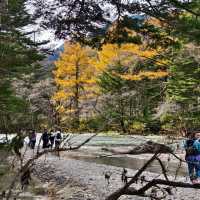 คามิโคจิ Kamikochi - Japan Alps