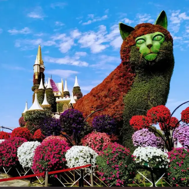 【杜拜】美麗的庭園