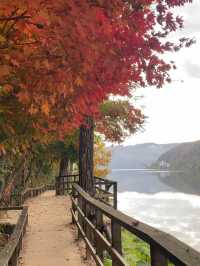 Magical Autumn Escape to Nami Island!