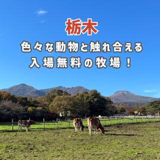 【栃木】可以與各種動物互動的免費牧場