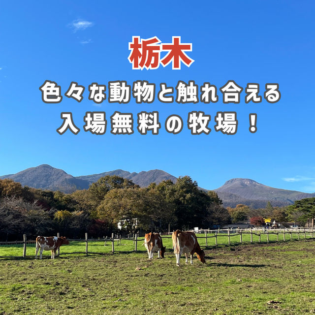 【栃木】色々な動物と触れ合える入場無料の牧場🐮