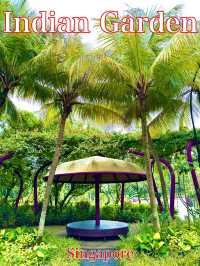 シンガポール　シンガポール観光　Indian Gardenでインドを感じた！