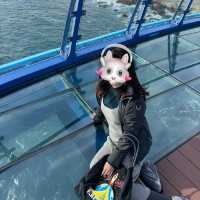 🌟第一次來釜山必買Visit Busan Pass🌟