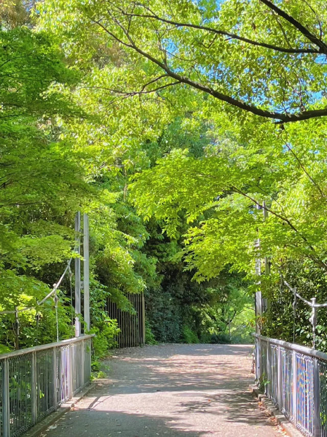 景點推薦：大阪鶴見綠地——有風車的都市綠洲