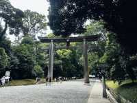 Tranquil Exploration at Meiji Jingu