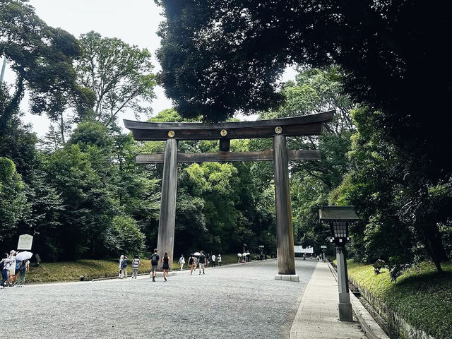 Tranquil Exploration at Meiji Jingu