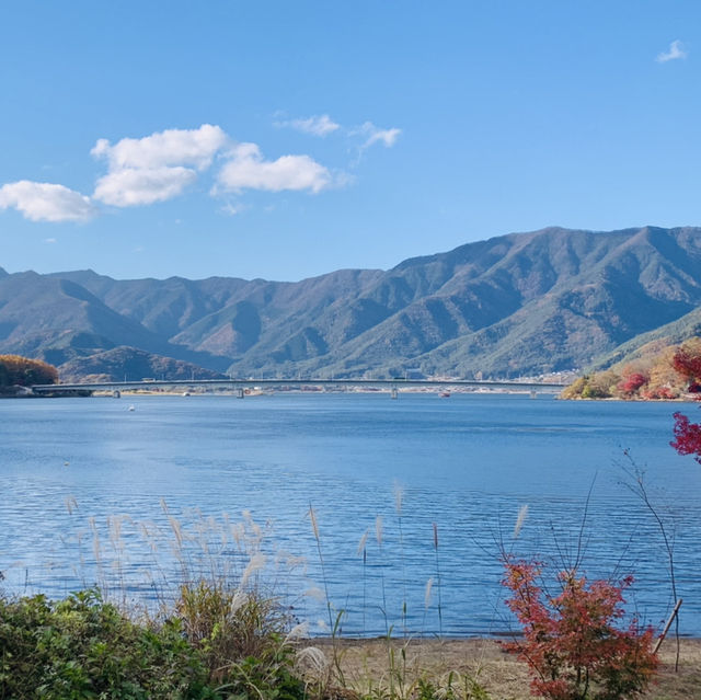 河口湖観光　富士マラソン！
