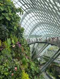 Have fun at cloud forest Singapore ❤️