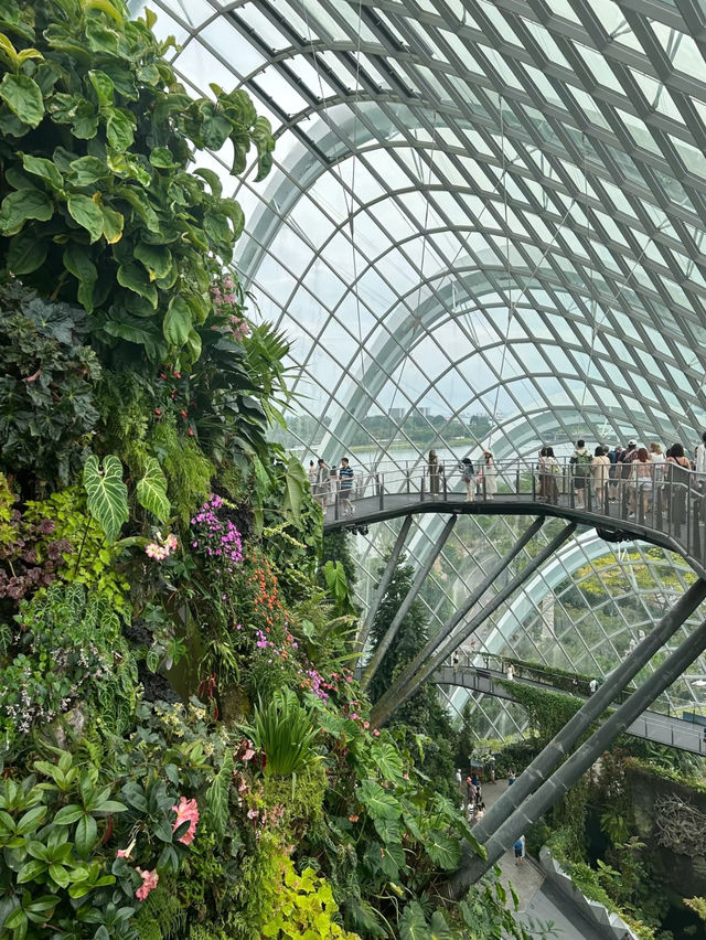 Have fun at cloud forest Singapore ❤️