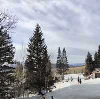 Explore the scenic winter view at Flagstaff Arizona 