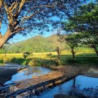 ลานกางเต้นท์ ธรรมชาติสุดๆ