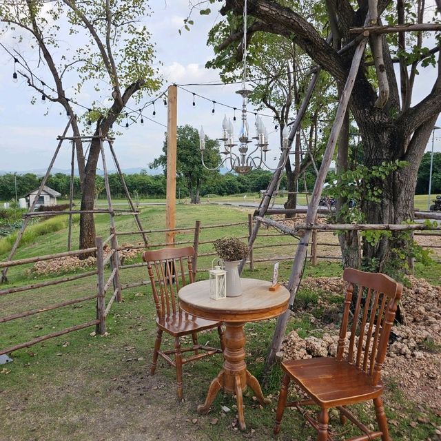 After You Dairy Farm เขาใหญ่