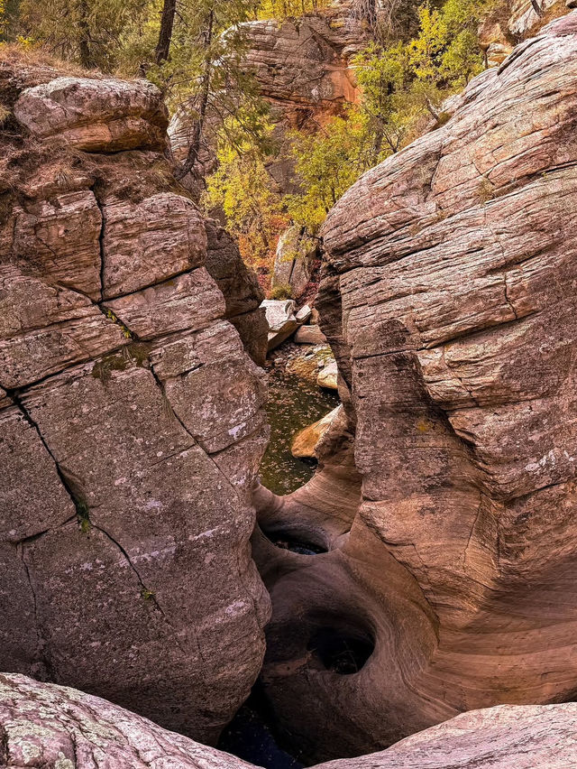 A Day of Canyon Climbing in Arizona