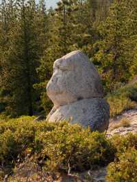 3 Reasons Why Lake Tahoe Should Be Your Next Travel Destination 