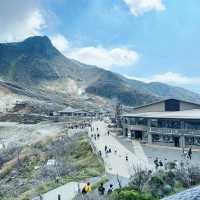 🇯🇵箱根必到景點 大涌谷 旅遊及交通攻略