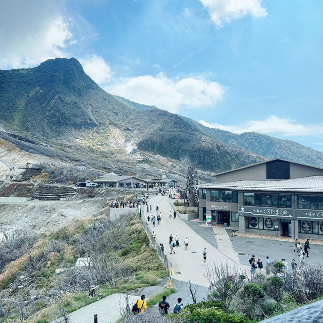 🇯🇵箱根必到景點 大涌谷 旅遊及交通攻略