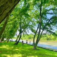 田心森林公園🪻清新療癒