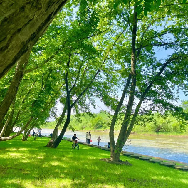 田心森林公園🪻清新療癒