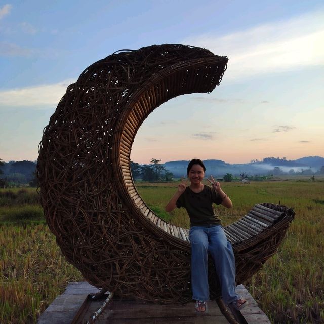 นาไลย วิว คาเฟ่&โฮมสเตย์ ที่พัก&คาเฟ่ วิวทุ่งนา