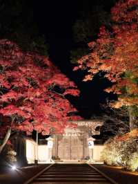 【高野山・金剛峯寺】紅葉の高野山おすすめスポット