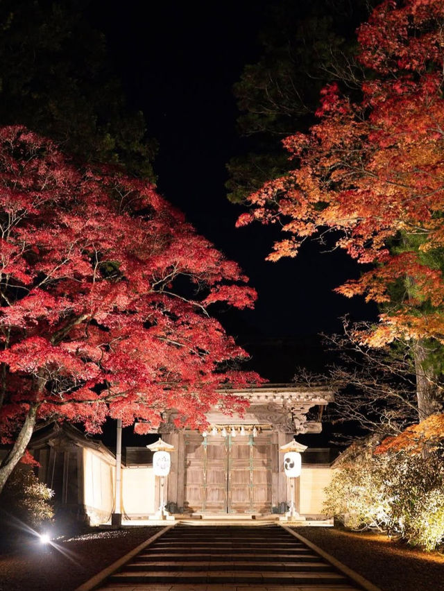 【高野山・金剛峯寺】紅葉の高野山おすすめスポット