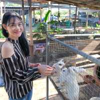 "ไร่ธันตะชา" สวนสัตว์ขนาดเล็ก 🌱อุตรดิตถ์