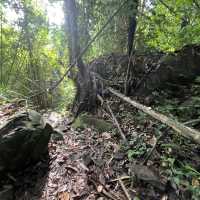Hike at Bung Muan Bau Sarawak