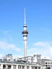 【New Zealand】オークランドで自然も街も楽しもう🌿