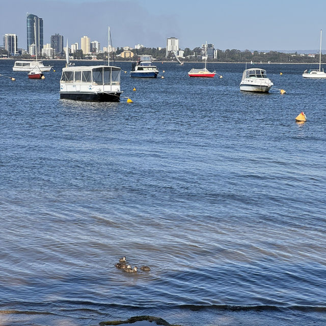Perth 6 Days Itinerary
