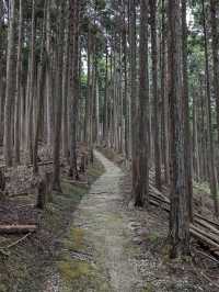 Tanzan Jinjia, Japan