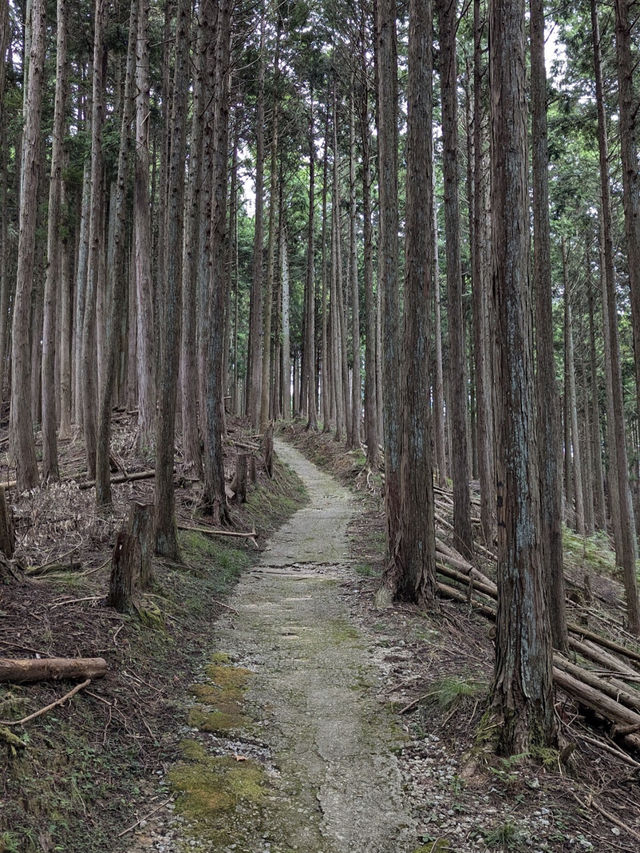 Tanzan Jinjia, Japan