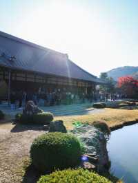 京都嵐山一日遊⛰️意想不到的美景就在這裡